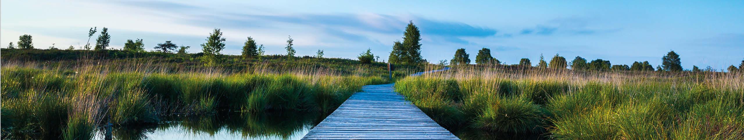 Banner Grote vakantiehuizen